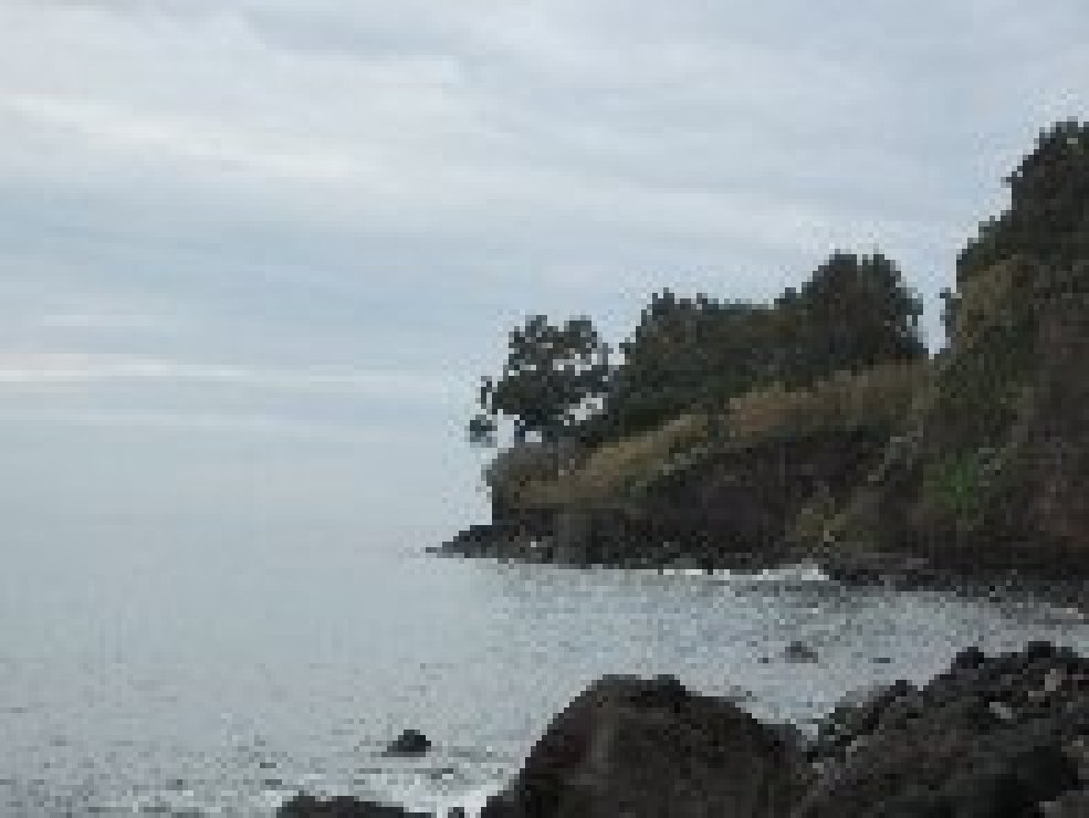 Praiola
